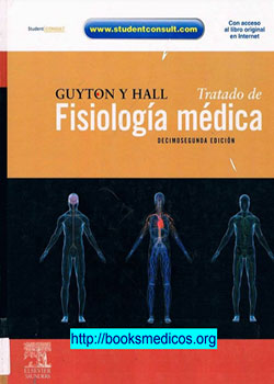 anatomia01