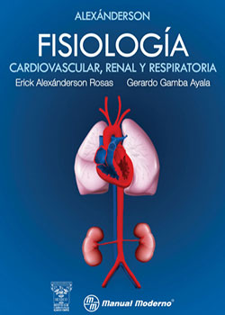 anatomia06