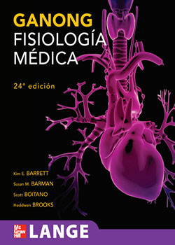 anatomia11