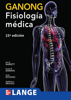 anatomia13