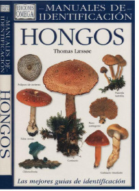 Hongos