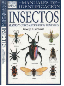 Insectos